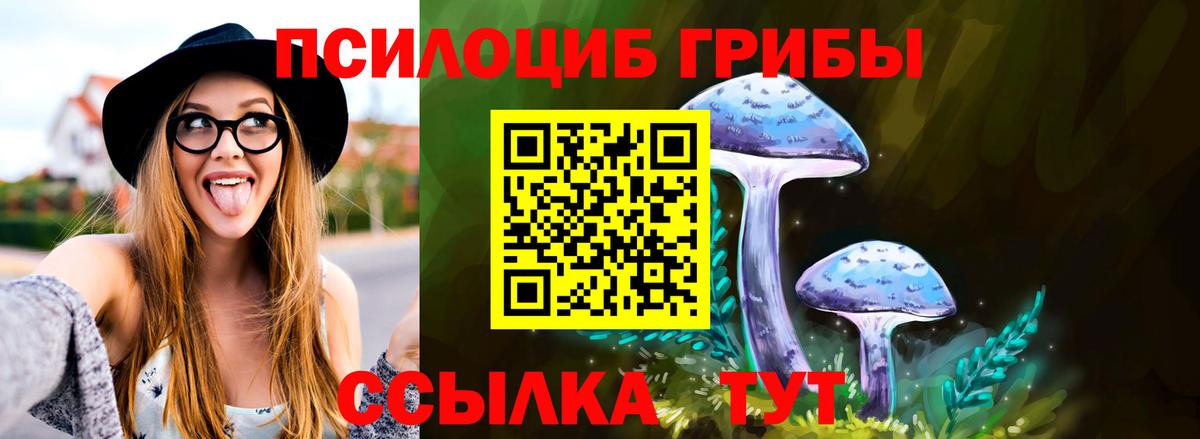 даркнет сайт  Вход с VPN  Ногинск  Галлюциногенные грибы прущие грибы 