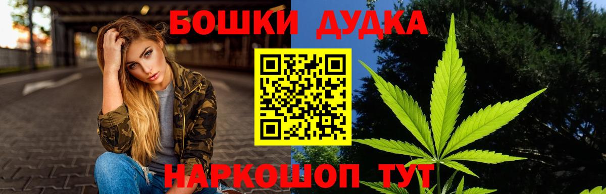 Каннабис сатива Ногинск